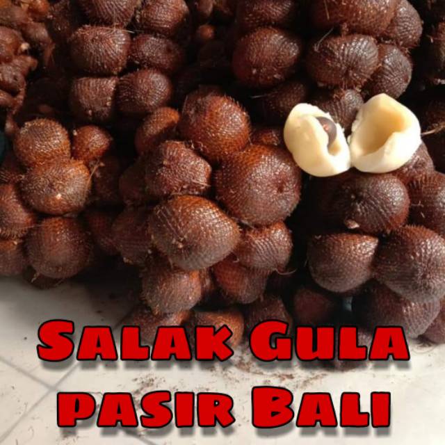 

SALAK GULA PASIR ASLI BALI