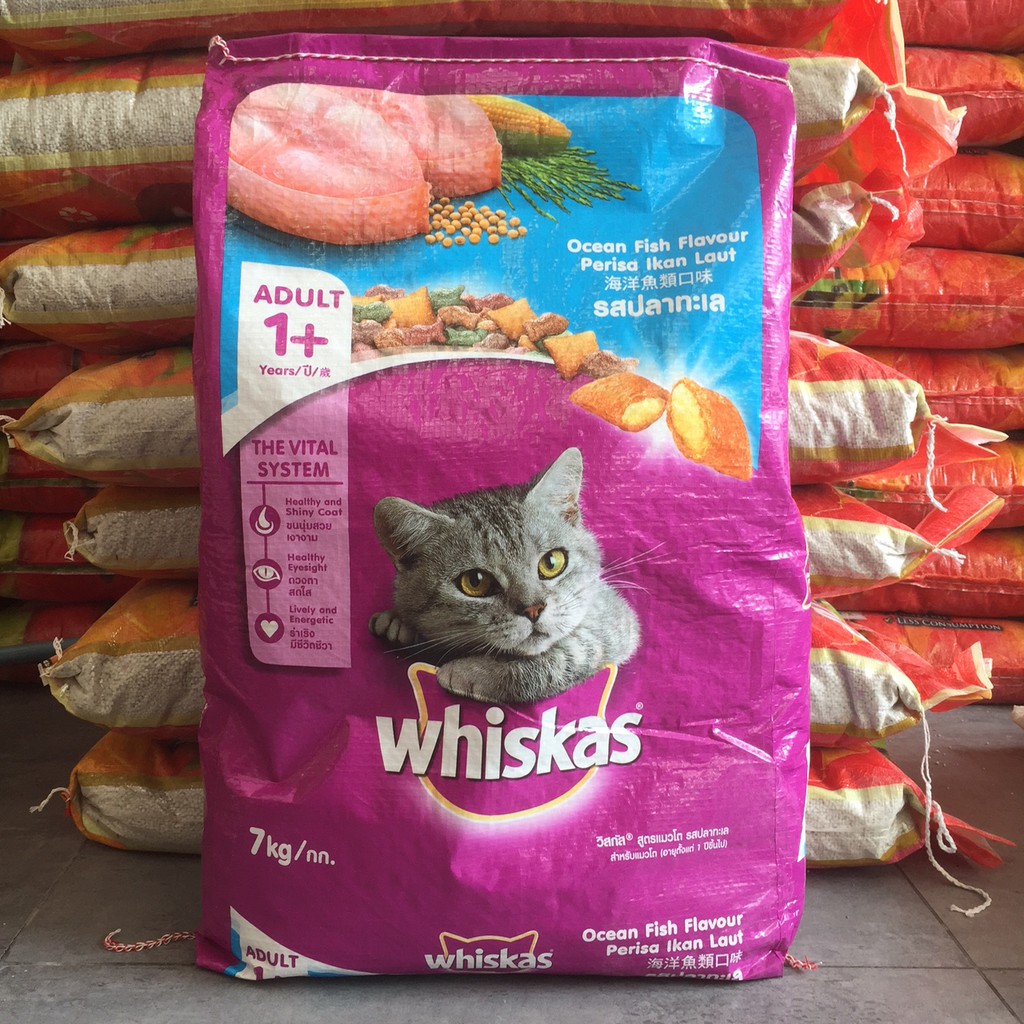 whiskas junior 7kg