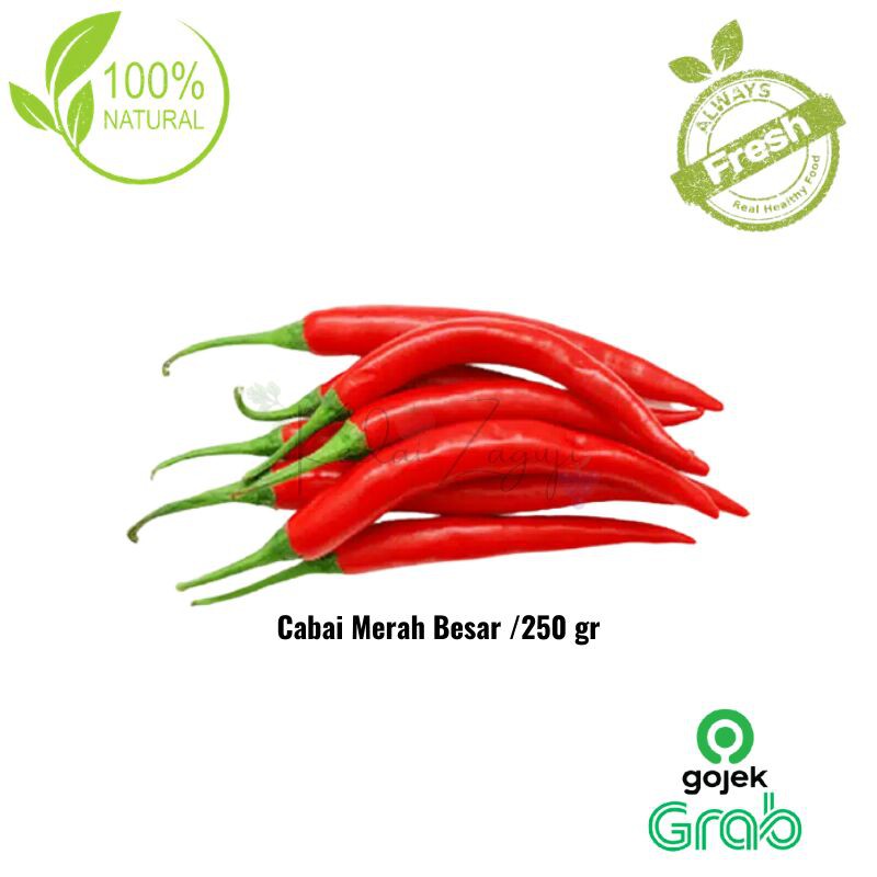 

Sayur Segar - Cabai Merah Besar /250gr