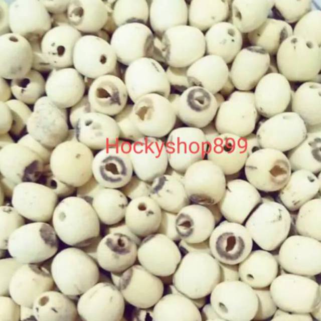 

Lian zhi Kecil/ biji teratai import 50gr