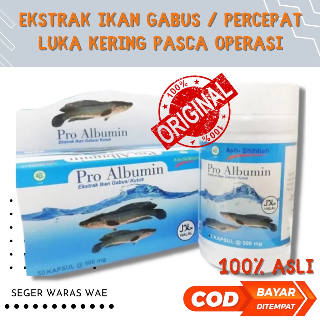 PRO ALBUMIN 50 Kapsul Ekstrak Ikan Gabus Ash-Shihah Mempercepat Penyembuhan PASCA OPERASI / Ekstrak Ikan Kutuk