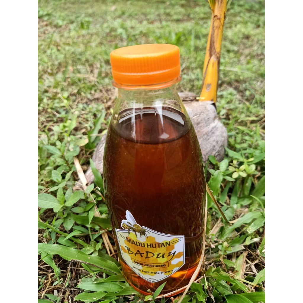 

Madu Hutan Baduy