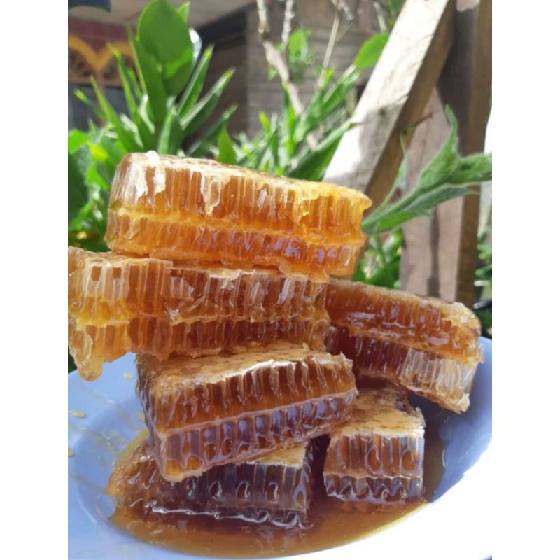 

Sarang Madu Asli Hutan Melifera Raw Honey [500gr]