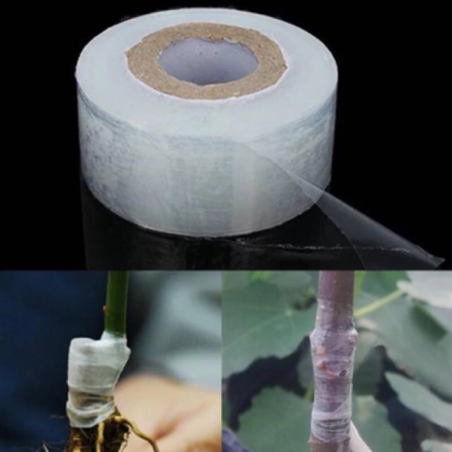 Grafting Tape - Plastik Okulasi, Sambung Pucuk / Enten - 3 cm