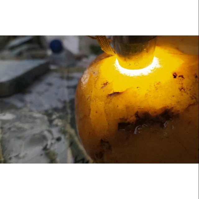 Natural bongkahan batu belimbing aceh 300 kg