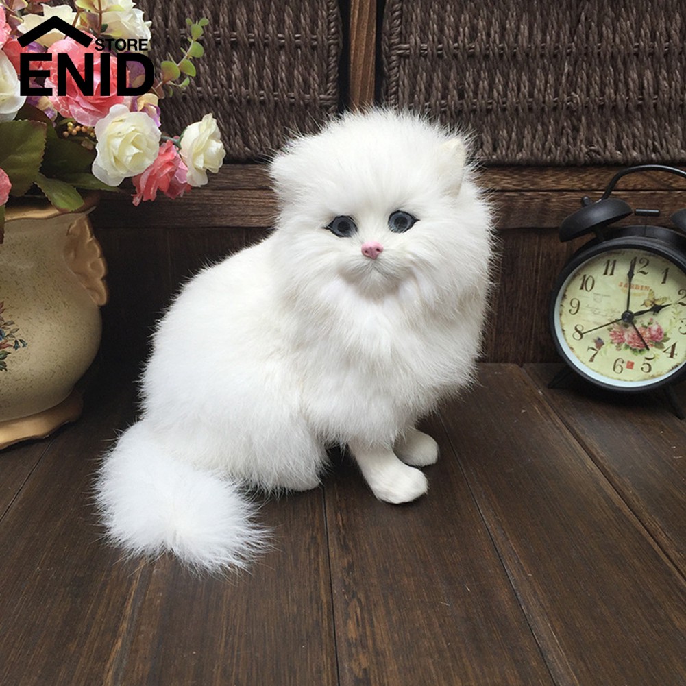 33++ Gambar Kartun Kucing Anggora - Kumpulan Kartun HD