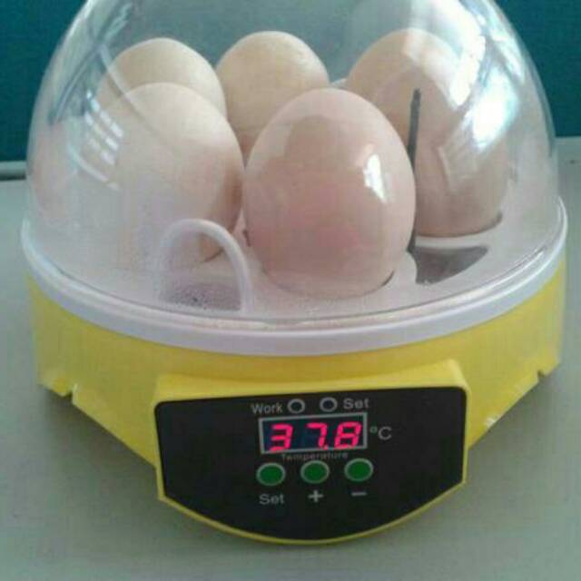 Mesin Tetas Telur / Alat Tetas Telur / Egg hatching Machine