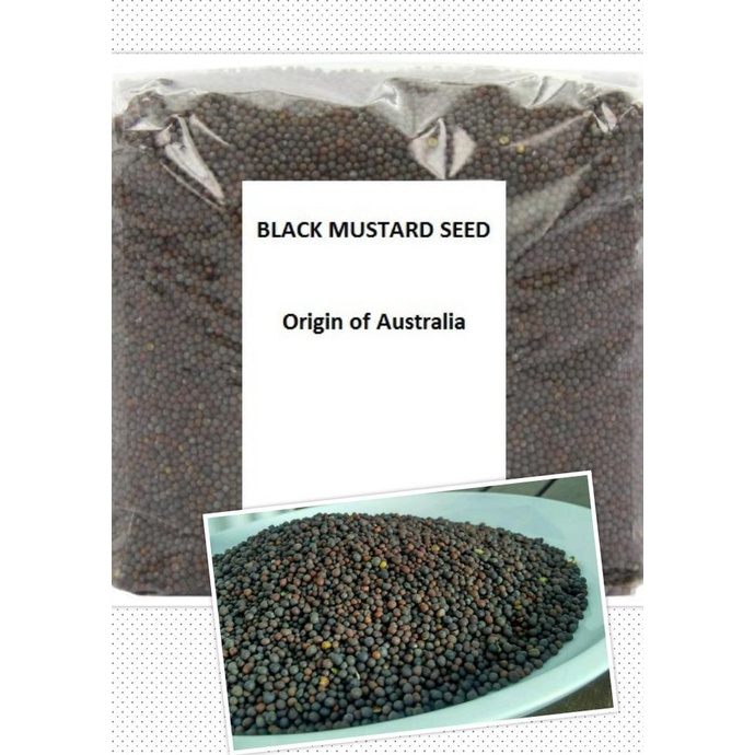 

Black Mustard Seed / Biji Sawi - 35 Gram