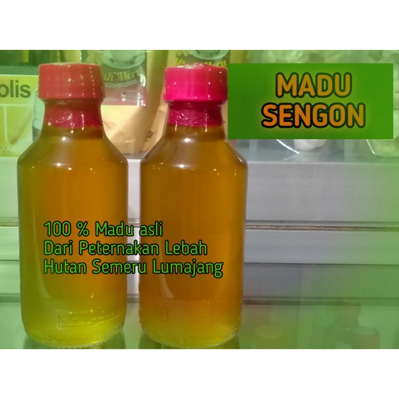 

MADU SENGON ALAS SEMERU / 100 % MADU MURNI DARI PETERNAKAN LEBAH HUTAN SEMERU LUMAJANG