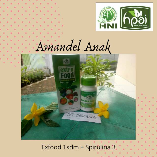 HNI HPAI obat amandel anak