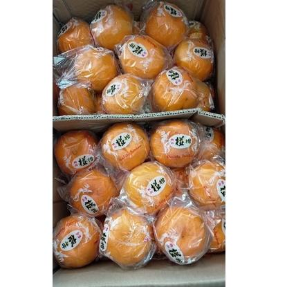 

dqe BUAH JERUK MANDARIN PONKAM PREMIUM JERUK KUPAS IMPORT IMPOR 500gr [HARVEST LINE] Awas KW
