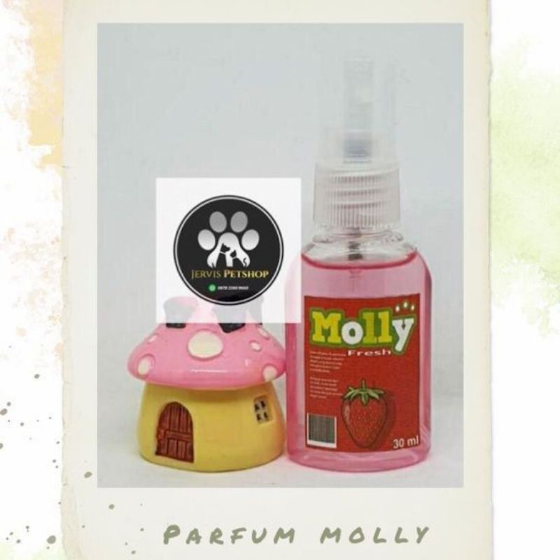 Parfum kucing wangi Molly 30ml