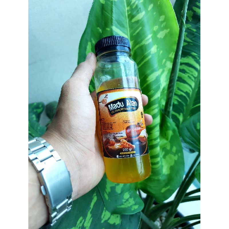 

Madu Hutan Sialang Alan Murni