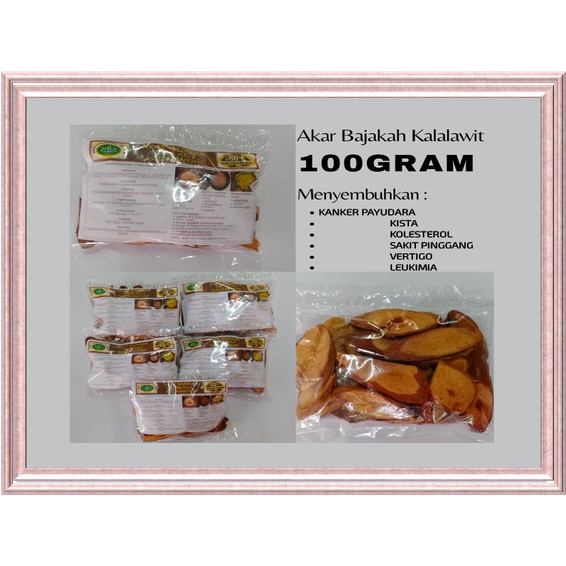 

( COD ) Akar Bajakah Kalalawit Kering Akar Bajakah Asli Kalimantan Herbal Tumor Kanker 100% Original