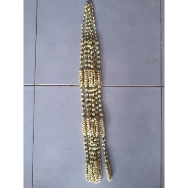 gamyong / tibododo siger - ronce melati asli - hana melati