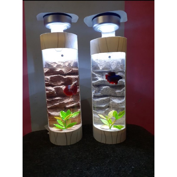 Aquarium Mini (bisa untuk ikan cupang), Akuarium Minimalis, Akuarium Kecil, Akuarium Dinding