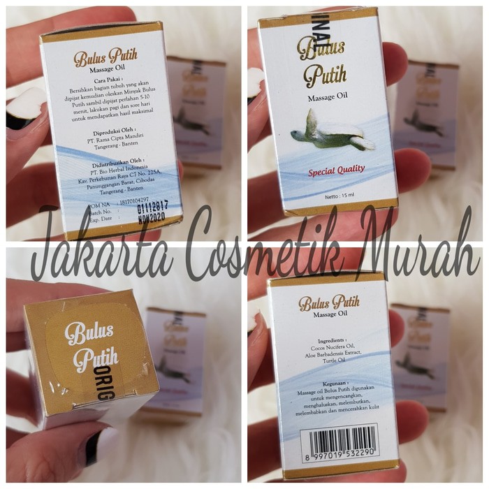 Limited BPOM Bulus Putih Massage Oil Minyak Bulus BPOM Original