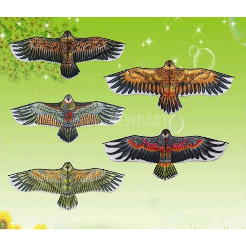 layangan burung / layang-layang burung/layangan lipat