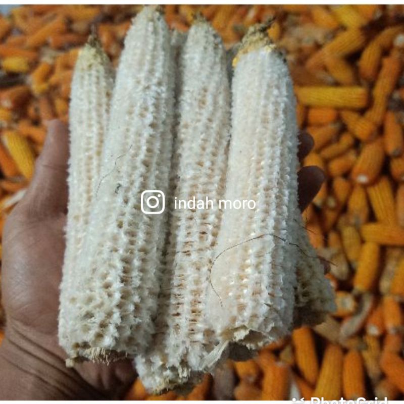 Tongkol Jagung 1Kg.BONGGOL JANGGEL JAGUNG Kering Limbah Jagung Partai Besar Lebih Murah.