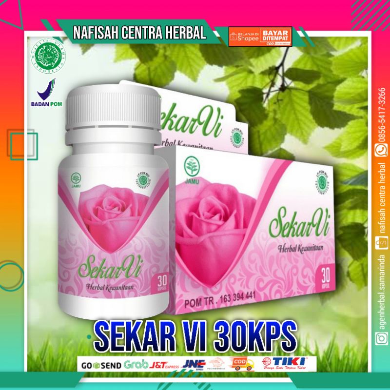 

Sekar Vi With Manjakani isi 30 Kapsul | Obat Herbal Mengatasi Keputihan