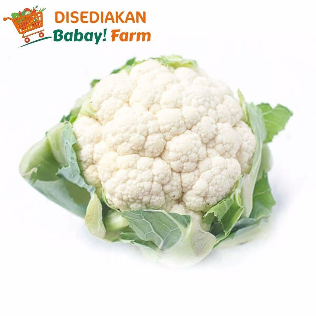 

Kembang Kol 500 Gr