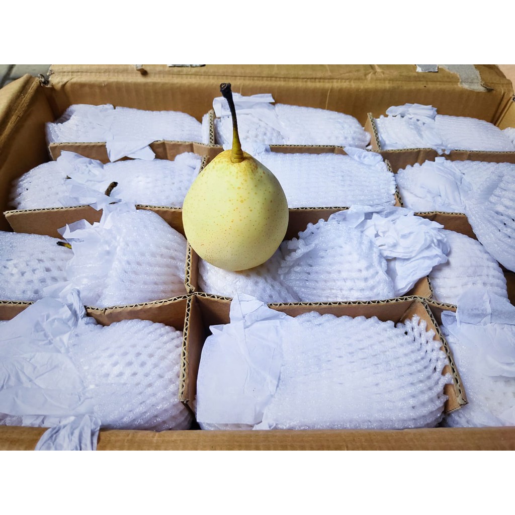 

Pear Yali 96 Buah Pear Yali