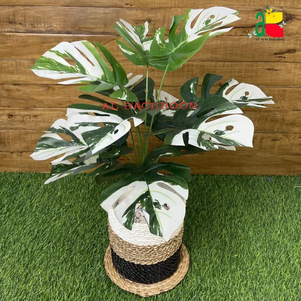 TANAMAN PLASTIK DAUN MONSTERA VARIEGATA B8187 D18 DAN D12 BUNGA ARTIFICIAL HIASAN RUMAH CAFE