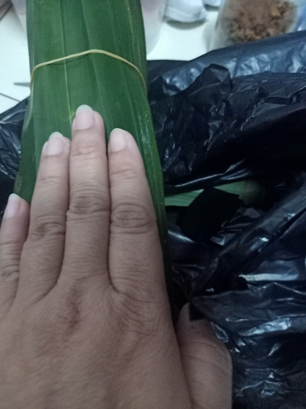 Daun Bambu Segar
