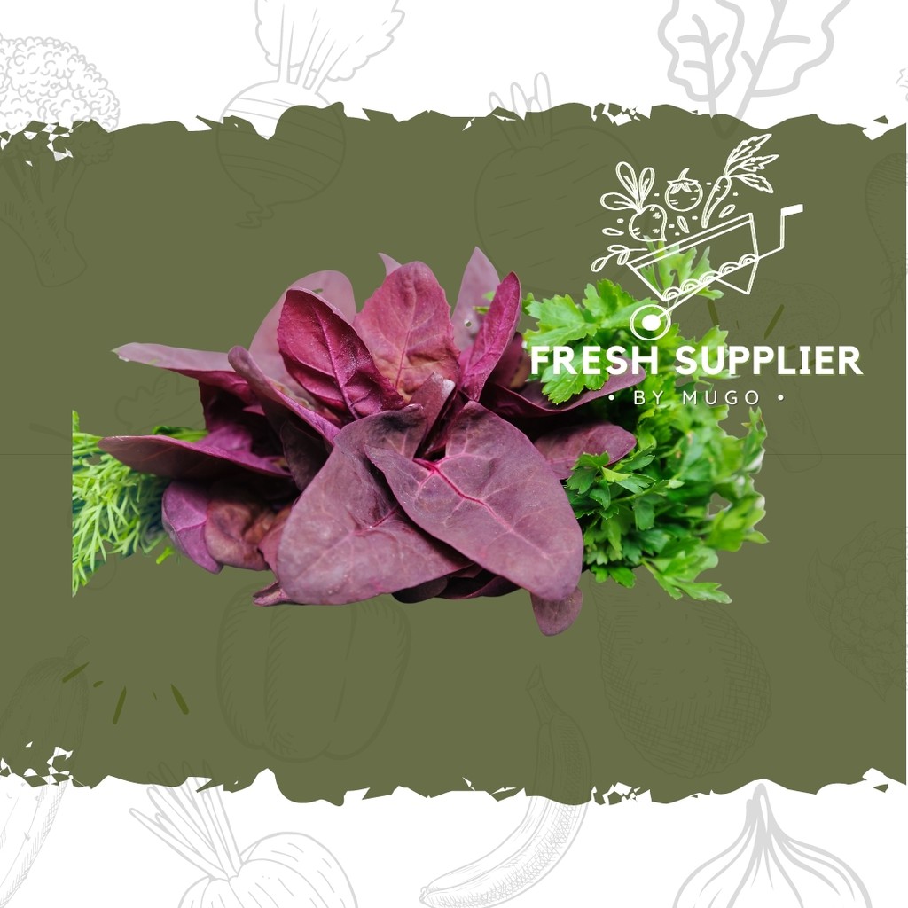 

Bayam Merah 1 ikat Fresh Supplier