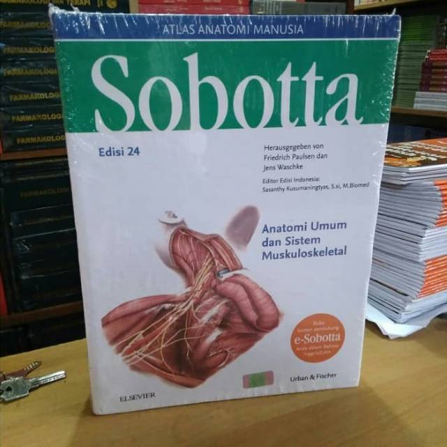 SOBOTTA ( Atlas Anatomi Manusia )