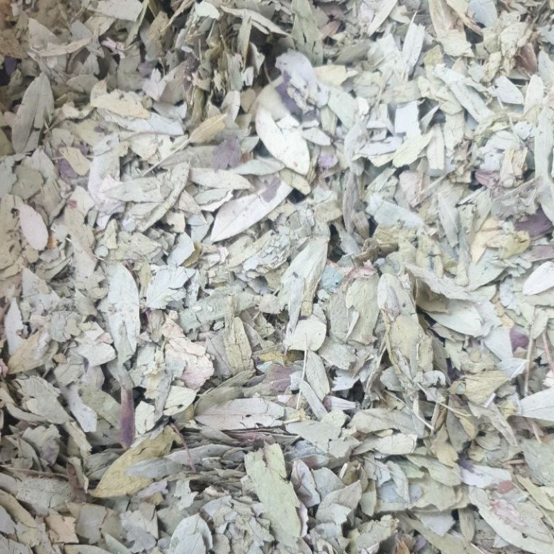 

Daun Jati Cina 50kg