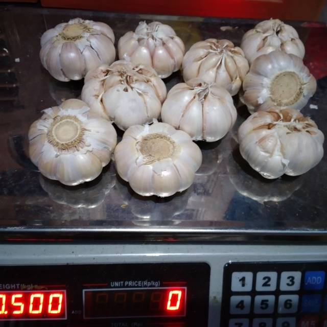 

Bawang putih honan/ banci 500 gr.