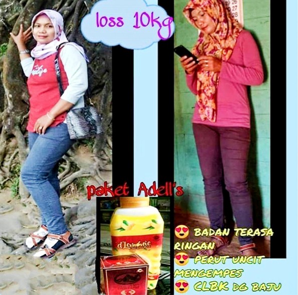 Tanaman Hias Rambat Dolar Besar - Dolar Rambat Ding-ding