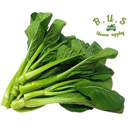 

Baby Kailan 1 Kg B.U.S