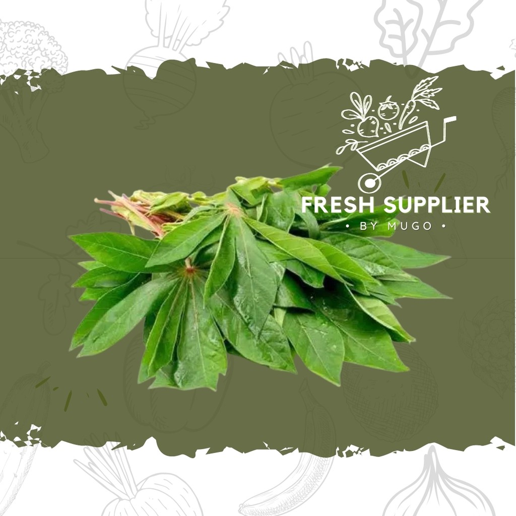 

Daun Singkong 1 Ikat Fresh Supplier