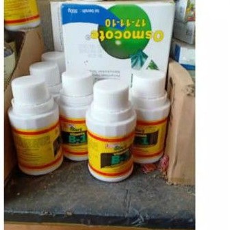 vitamin B 1 perangsang akar
