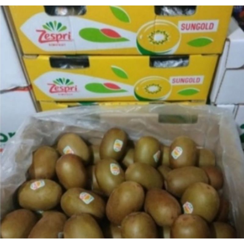

kiwi gold zespri sun gold 1 dus buah di jamin frehs