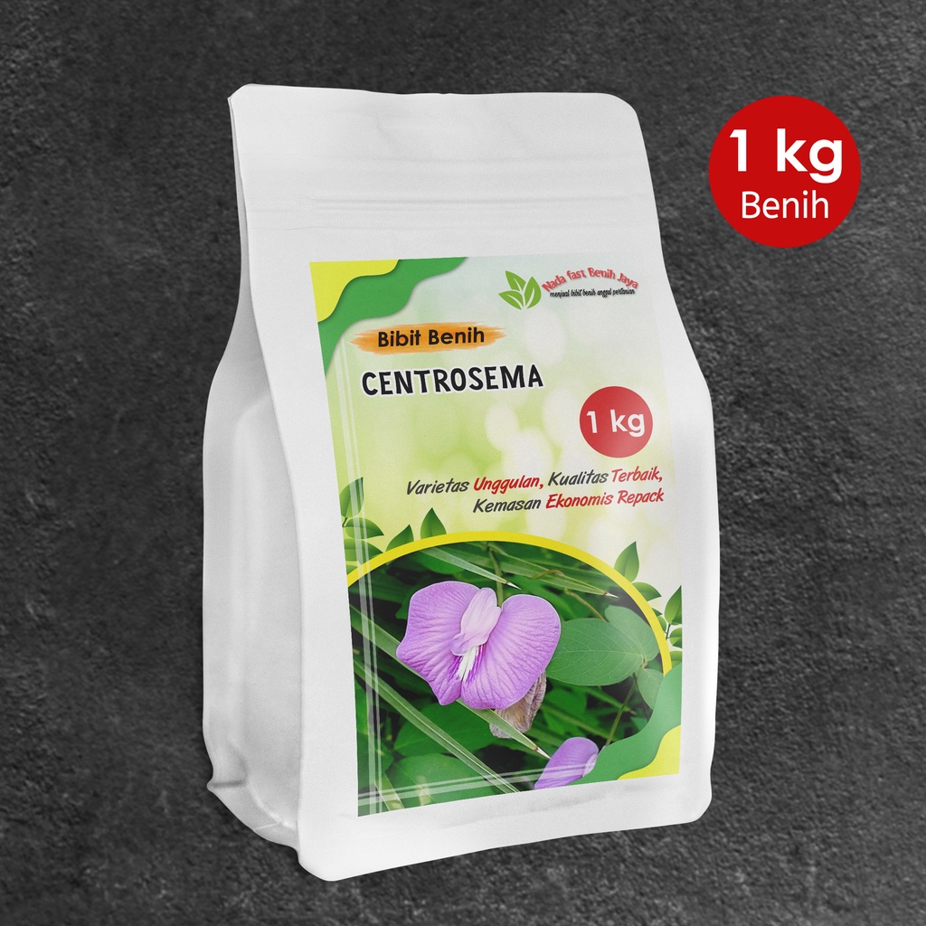 Benih centrosema super 1 kg pakan ternak / bibit biji centrosema super