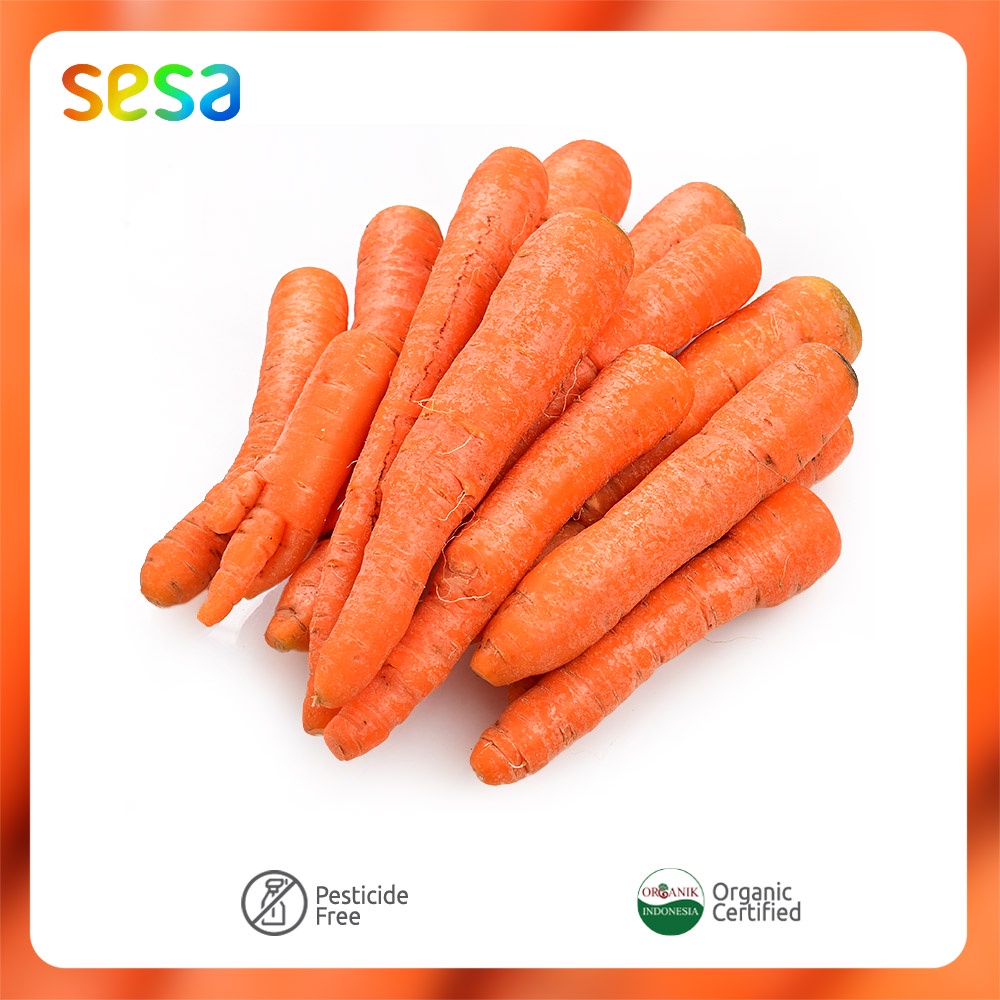 

Wortel Organik Best Value 1 Kg