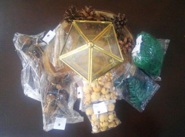 Rumput Kayu Angin Hijau 20gr