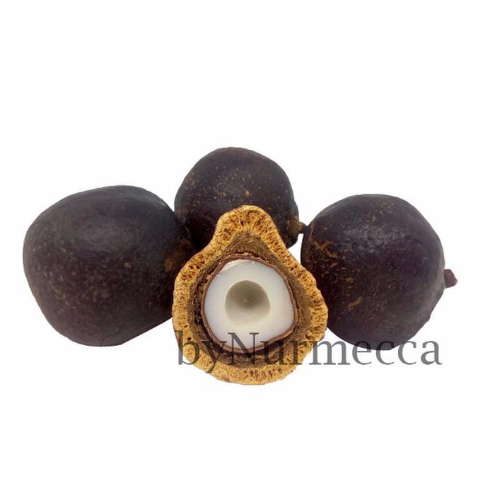 

Oleh-oleh Haji Buah Zuriat Asli Madinah 500gr(Sudah di belah kulitnya)