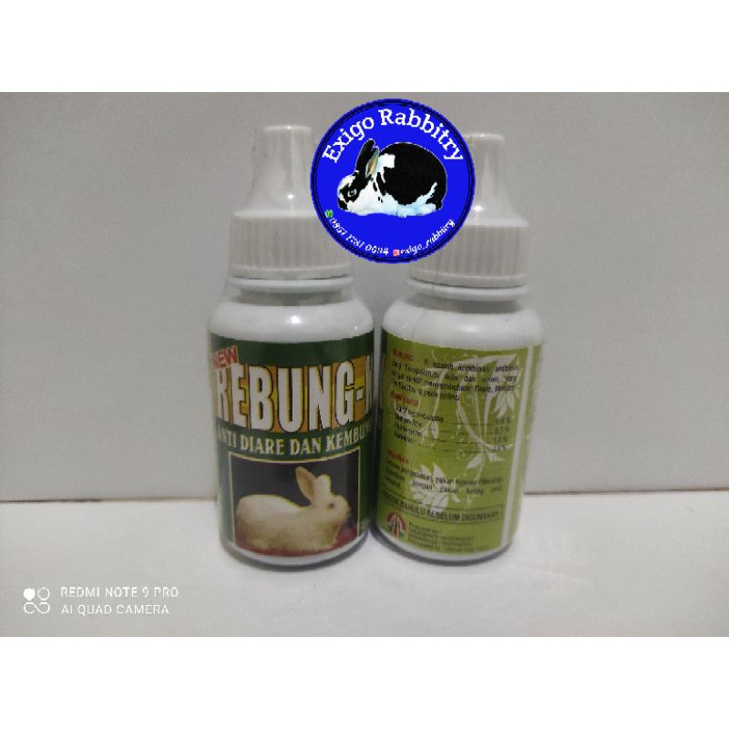 Rebung K, Obat Mencret dan Diare pada Kelinci