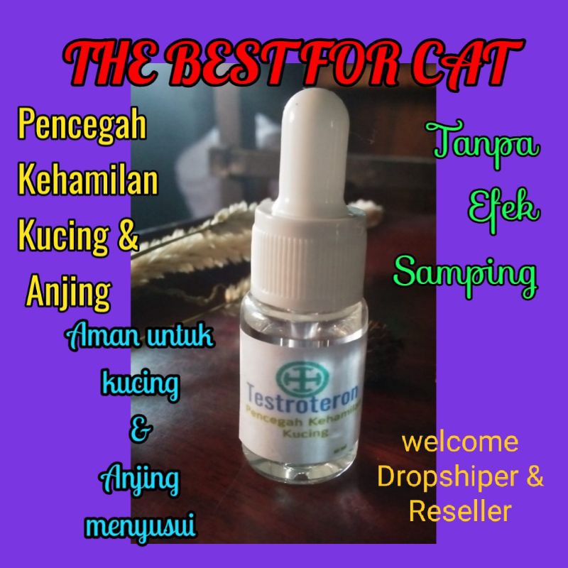 obat KB mencegah kehamilan kucing anjing