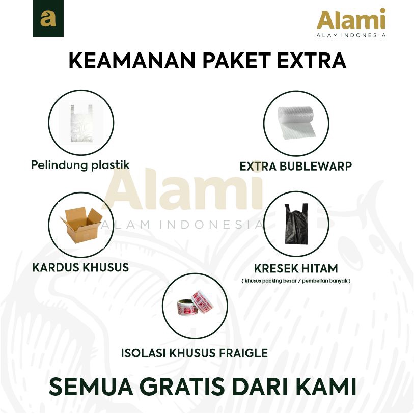 Healty Fresh Madu Murni Lebah Apis Melifera | Fresh Honey