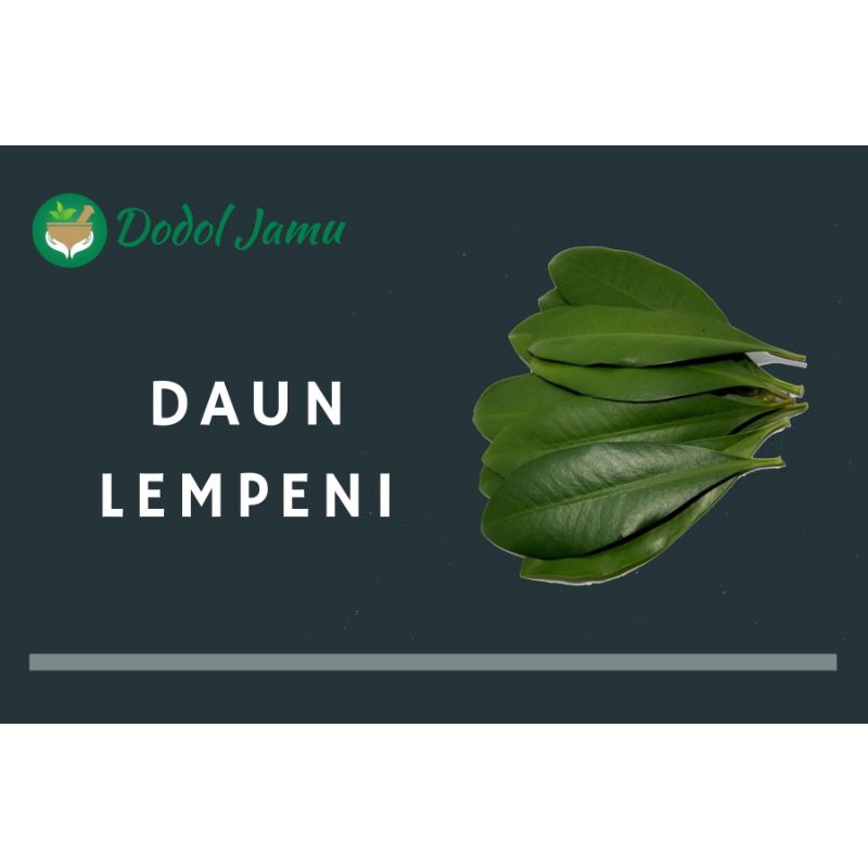 

Daun Lempeni segar/