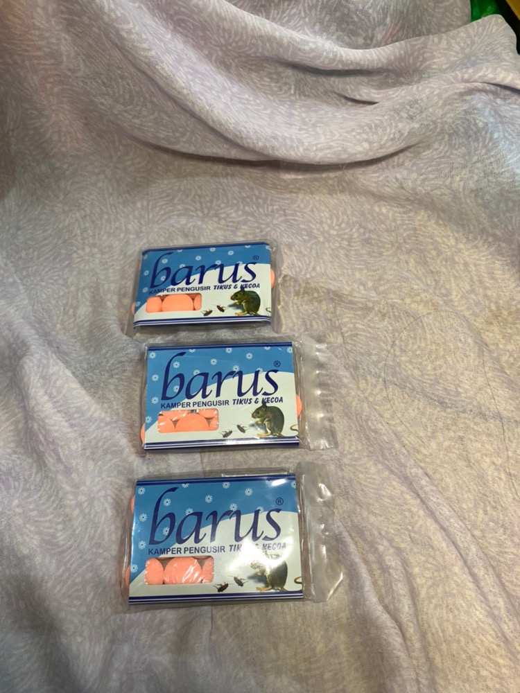 Naim_surya_asemka_kamper Tikus Dan Kecoa