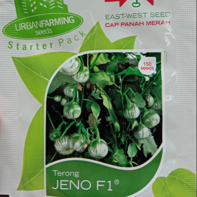 150 Benih Terong Lalap Hijau Jeno Cap Panah Merah