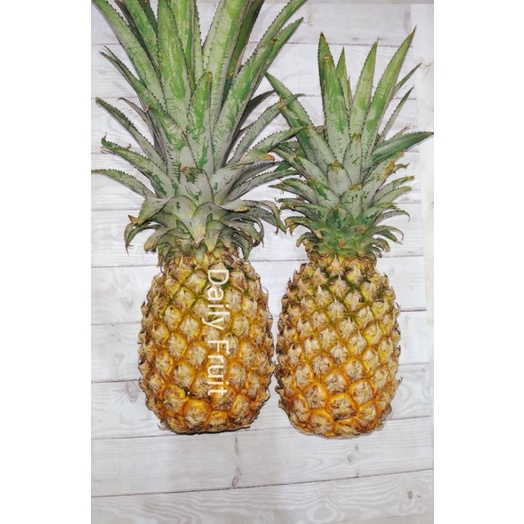 

Om Juss | Buah Nanas Palembang Ukuran Sedang per pcs