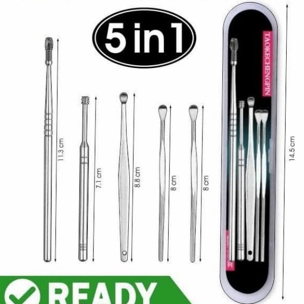 Pembersih Telinga Korek Kuping Ear Wax Picker 1 Set 5PCS Stainless