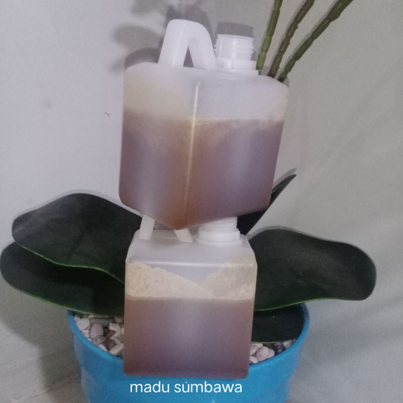 

madu Sumbawa 500 gram